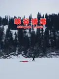 【爱情片】峡谷情缘